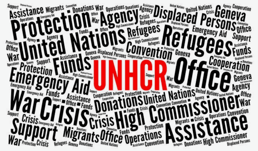 UNHCR: USAID's Global Welfare Machine