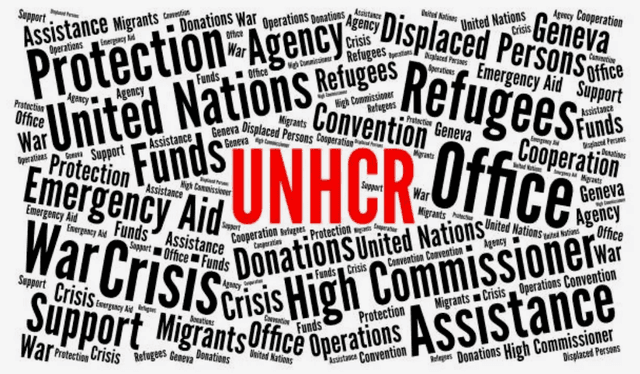 UNHCR: USAID's Global Welfare Machine