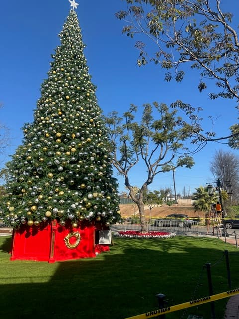 Palisades New Year's Updates