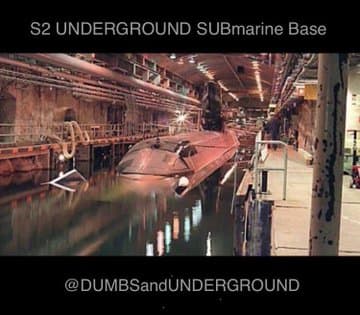 This is how they’re stealing our children and trafficking them to/from other countries!