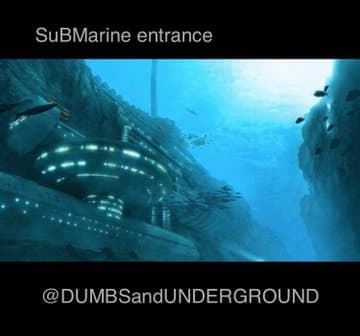 This is how they’re stealing our children and trafficking them to/from other countries!