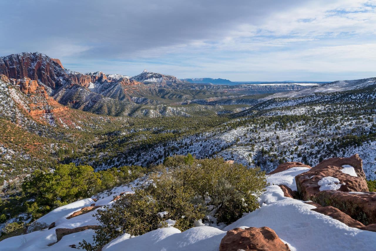 More than doubled spending on vendors and contractors