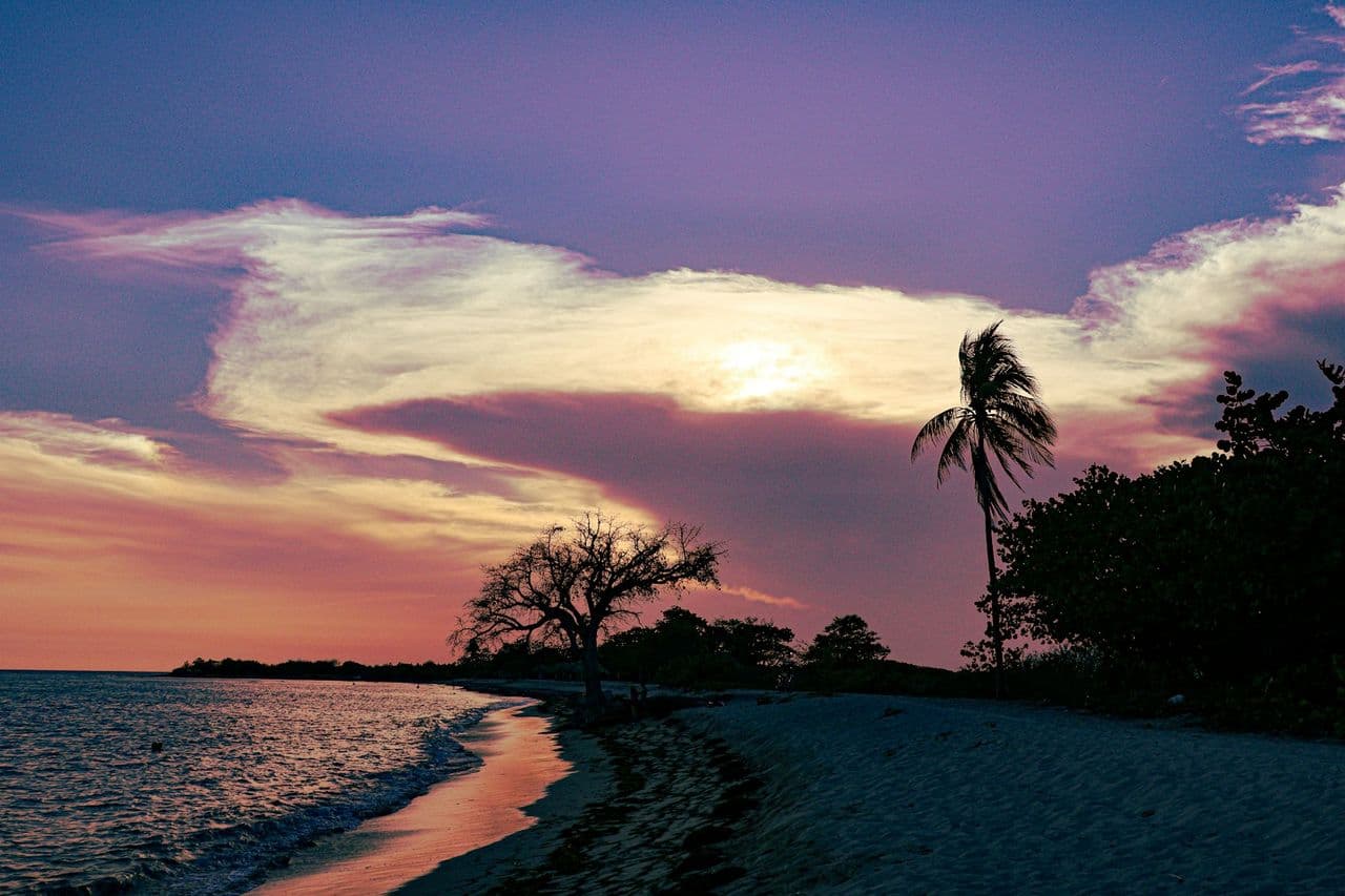 27 Companies with the Same Address