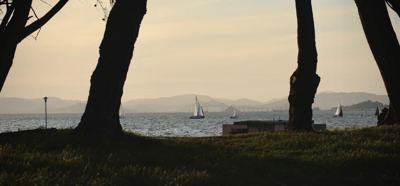 Abuse of 𝕏's Platform boosted Nick Fuentes