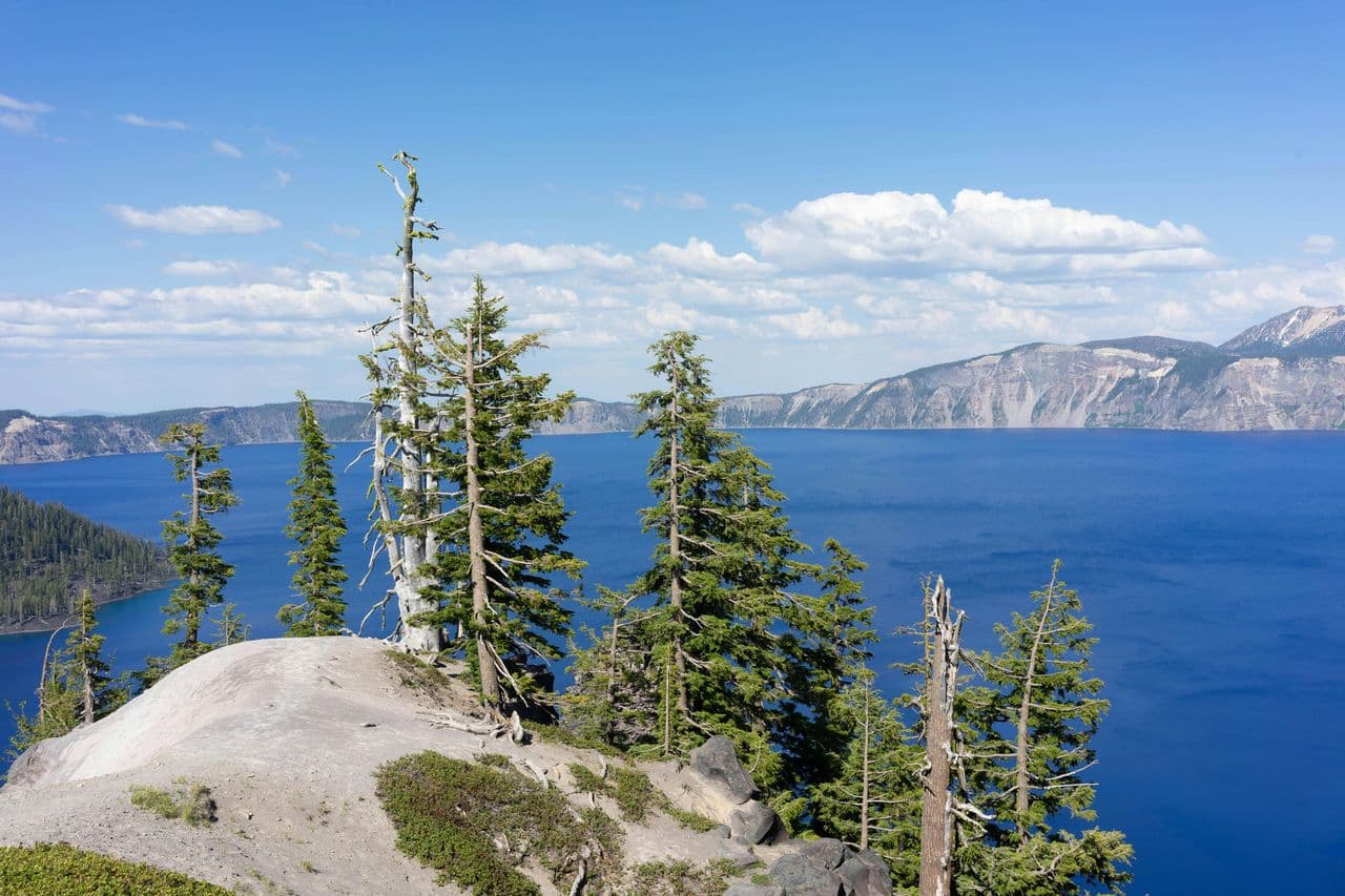 Epstein got involved in Mongolian mining deals