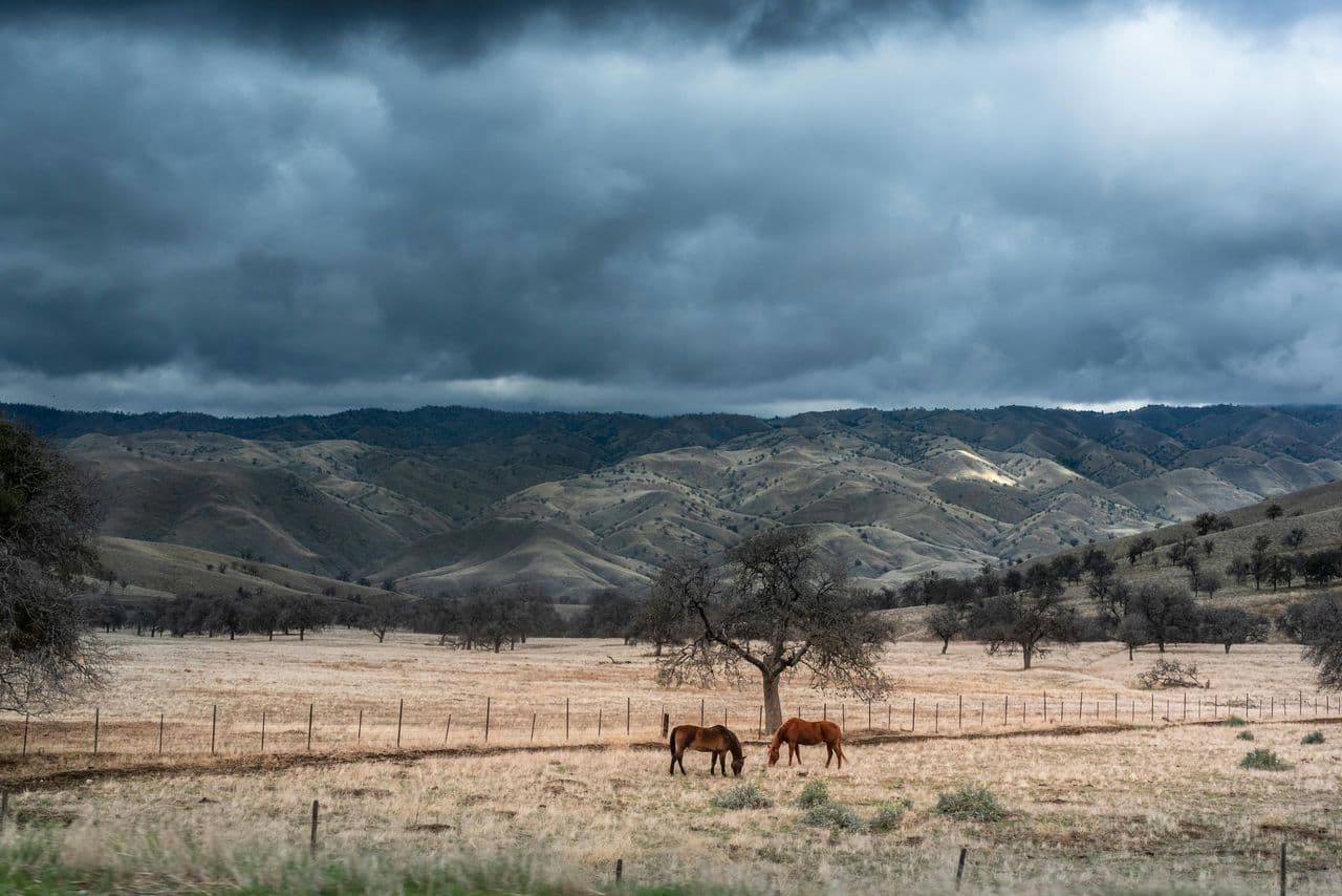 Nature estimated that high carbon emissions would reduce global economic output
