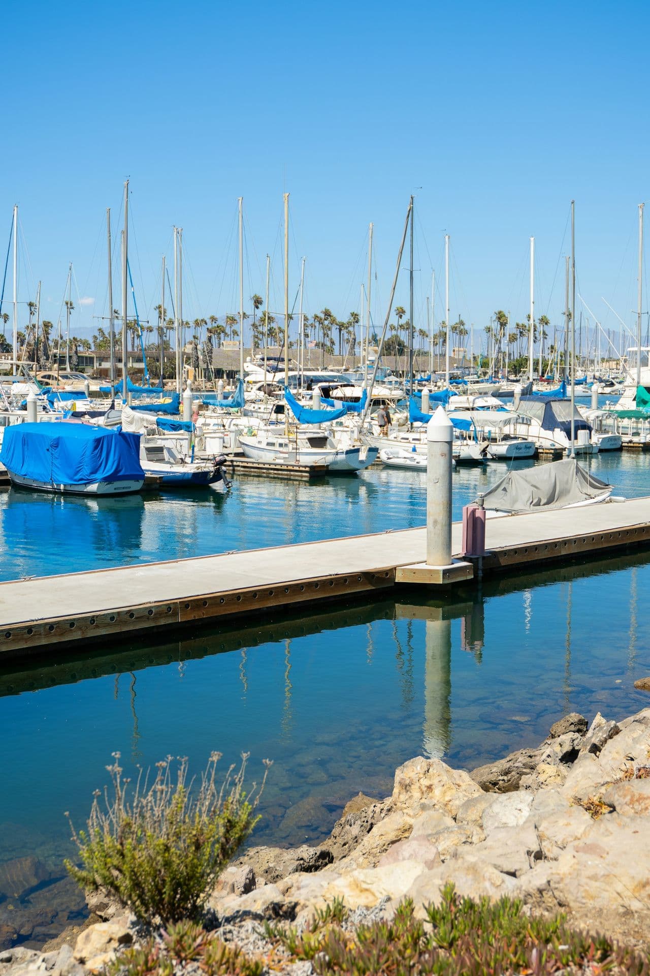 California has the Highest Unemployment in the US