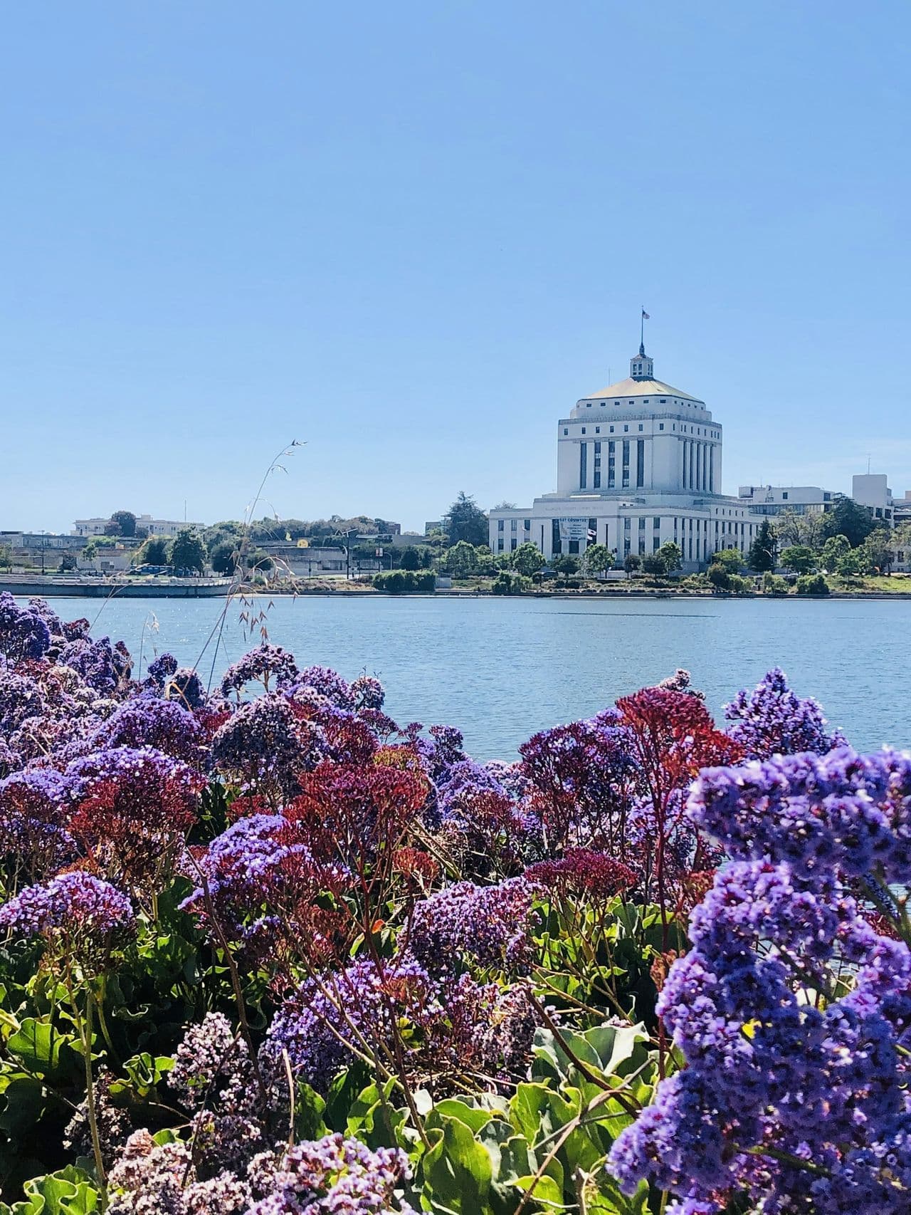 Chronic Absenteeism in California