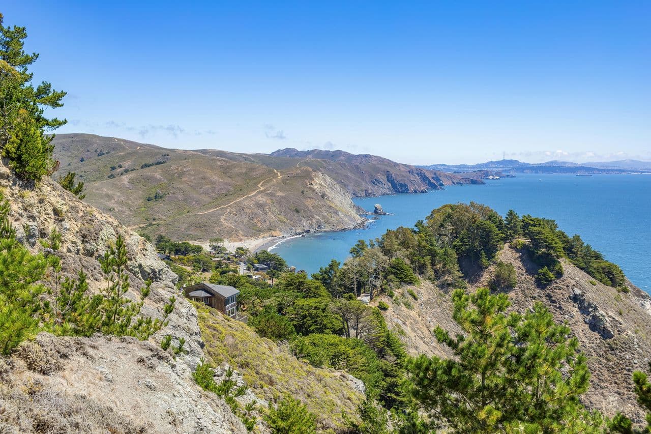 Donate to help Alladdin keep safe and secure