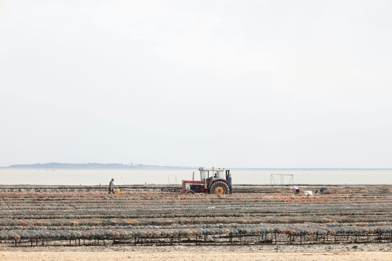 Message to the Trump Administration