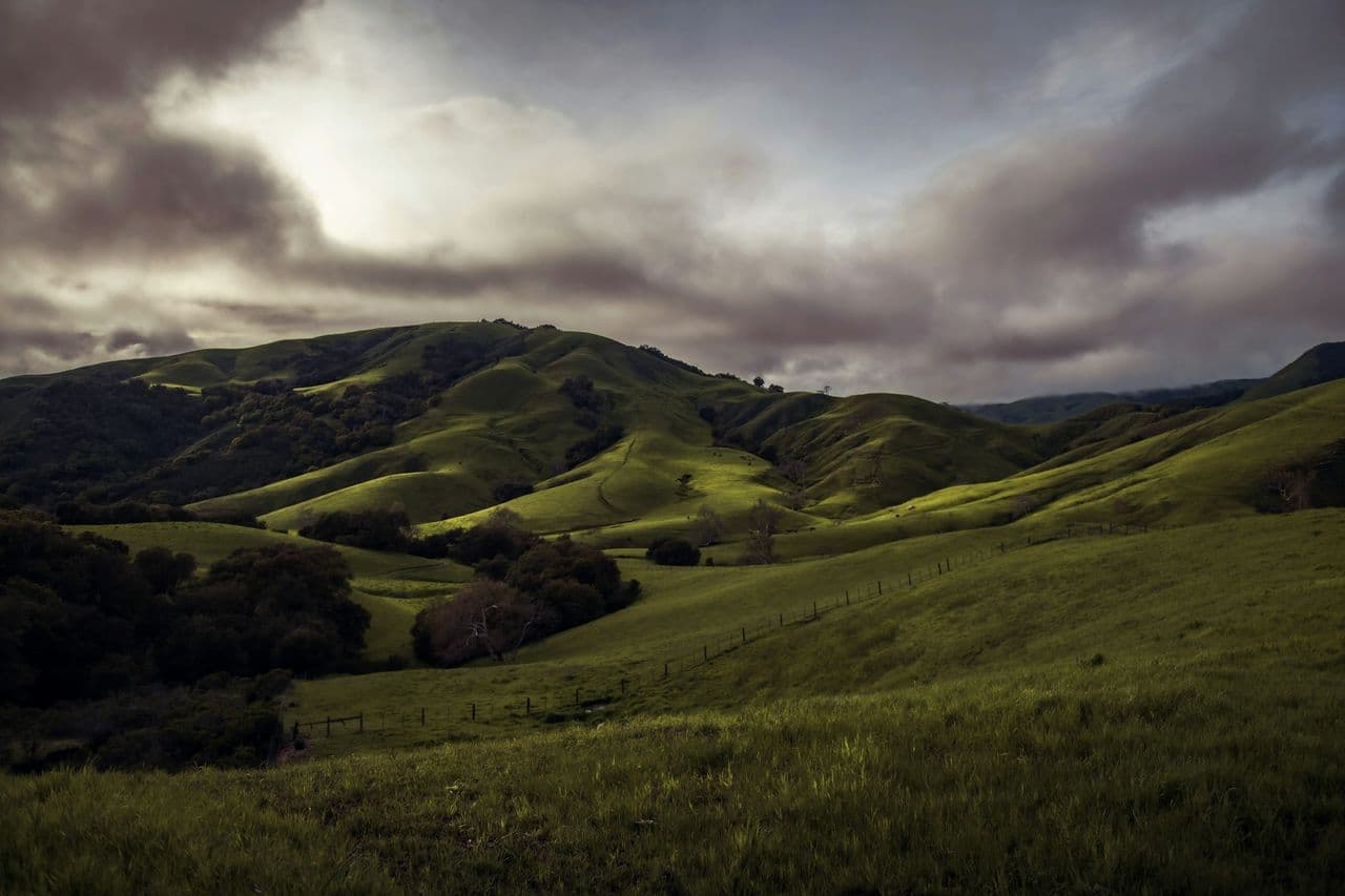 If California forces state workers to commute, it passes up $225 million in savings. Can we afford that?