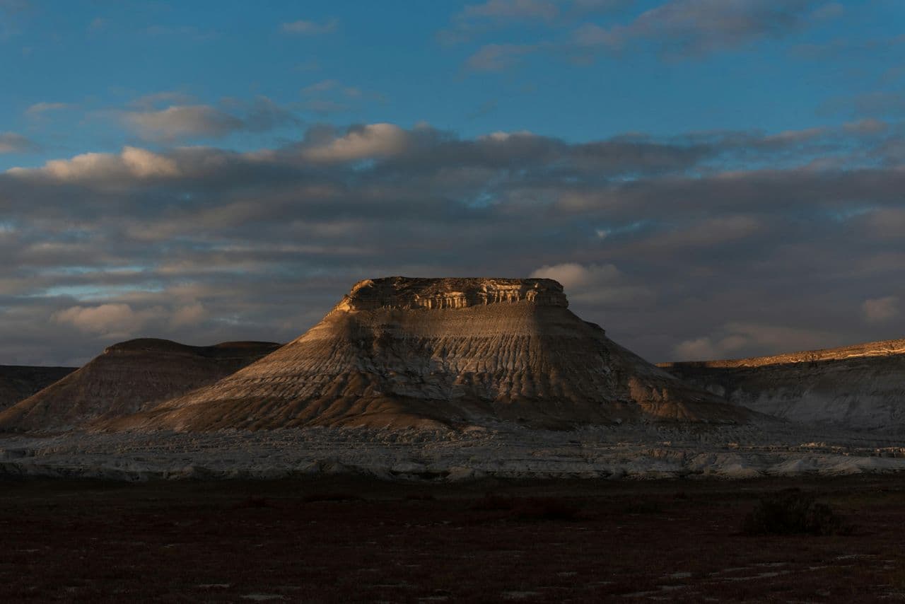 Professional Protestor Economics